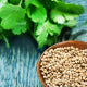 CORIANDER